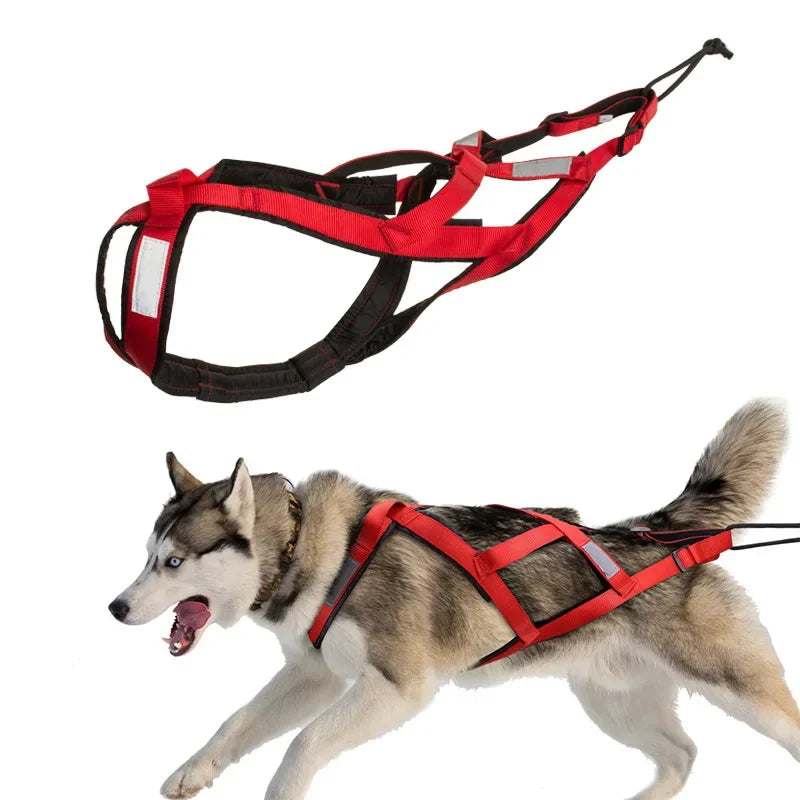 Dog Sled Harness & Weight Training Leash | Husky Scooter