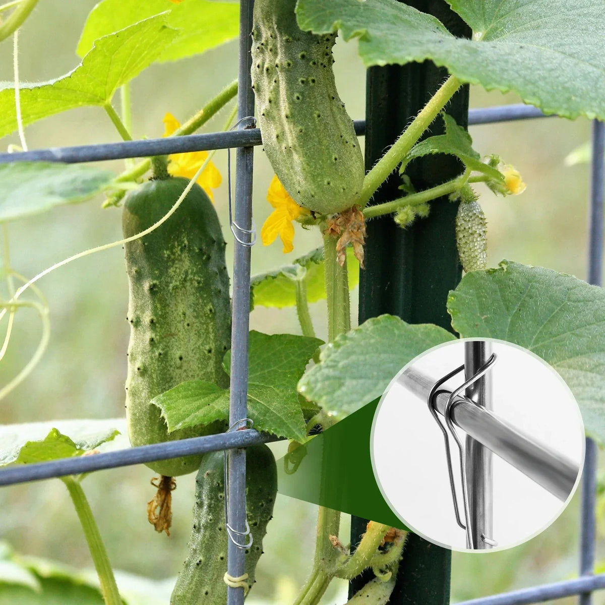 50Pcs Steel Plant Trellis Connecting Buckles & Pole Clips