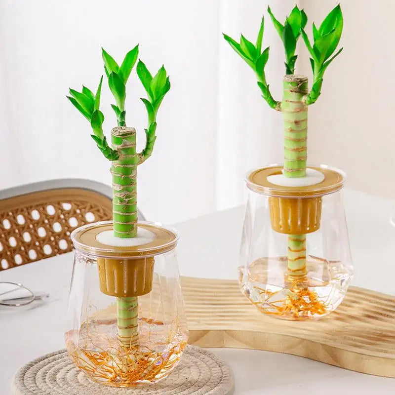 Mini Self-Watering Planter Pot – Transparent Plastic Vase Décor
