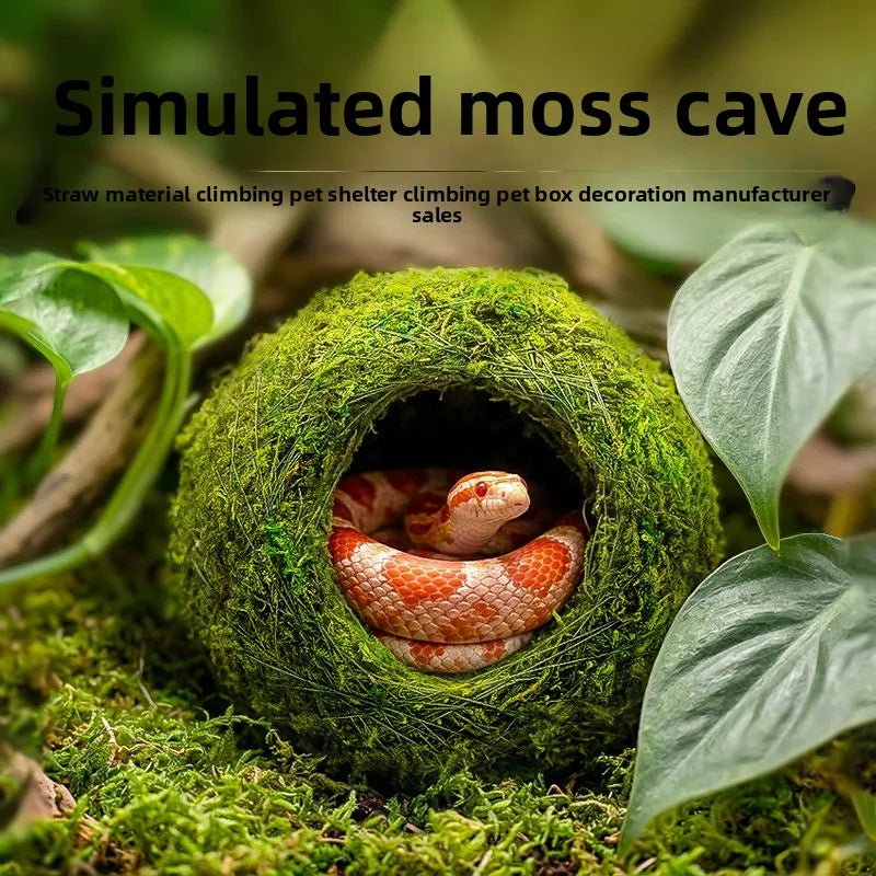 Reptile Moss Hiding Cave – Snake & Lizard Hide Terrarium