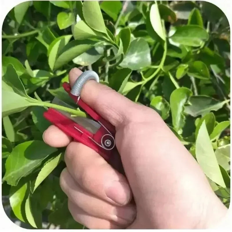 Thumb Knife Garden Pruner – Stainless Steel Fruit Picking Tool