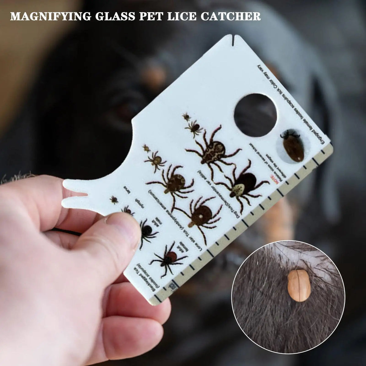 Tick Remover Card with Magnifying Glass for Dogs & Cats