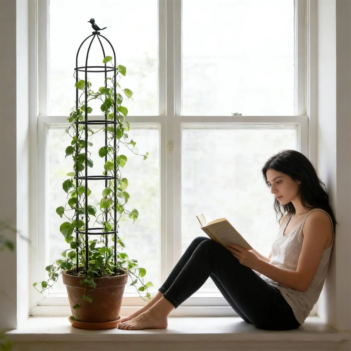 Decorative Plant Trellis | Climbing Support for Rose & Clematis
