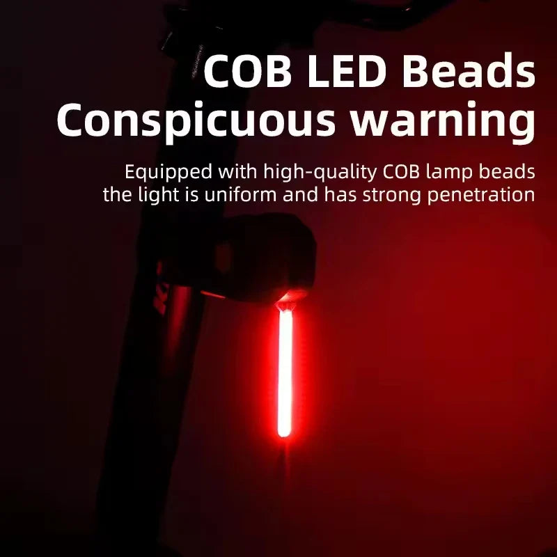 BUCKLOS LED Bike Tail Light – Rechargeable, IPX6 Waterproof