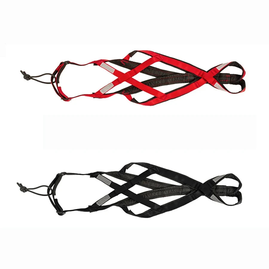 Dog Sled Harness & Weight Training Leash | Husky Scooter