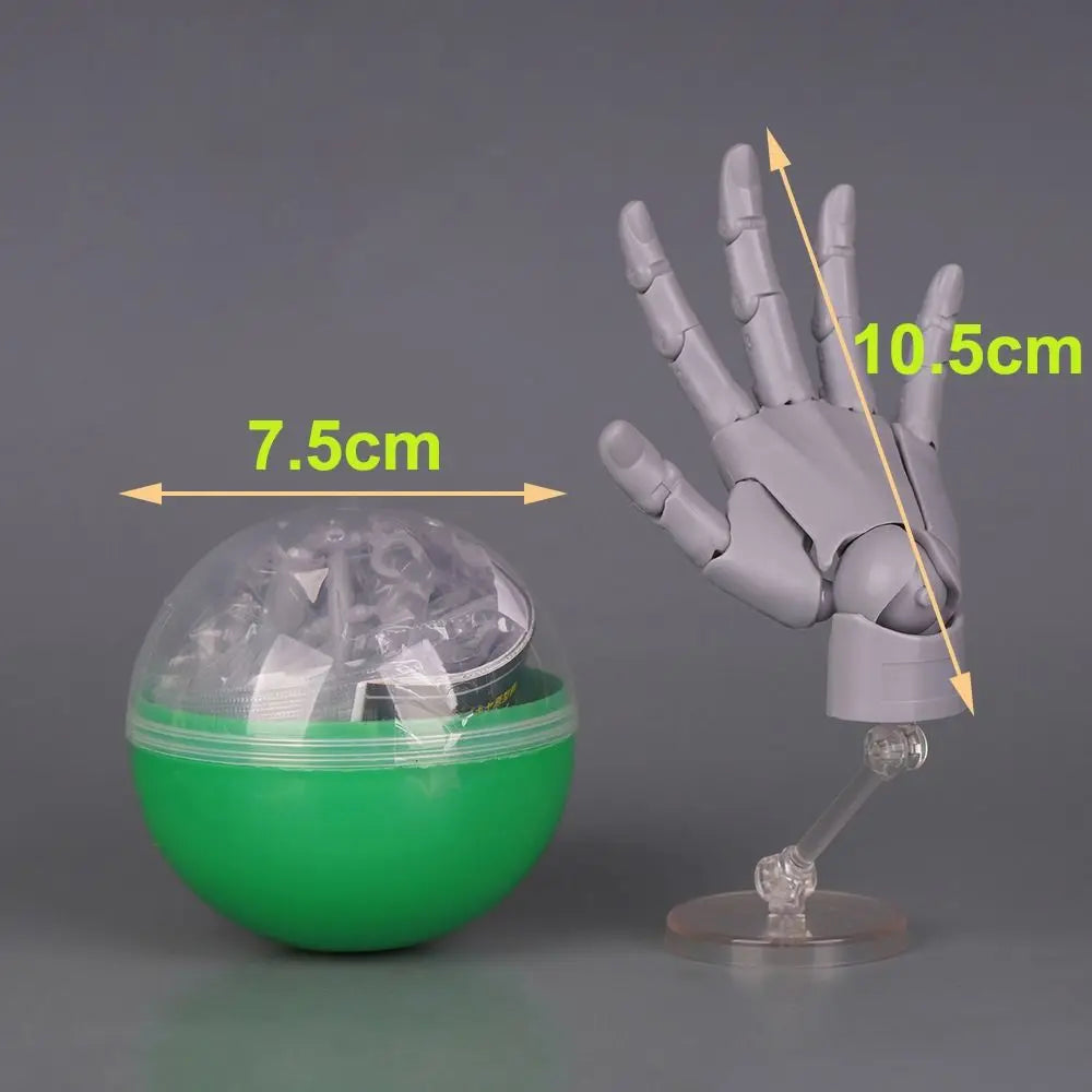 1:2 Scale Articulated Hand Model – Posable Art Reference Figure