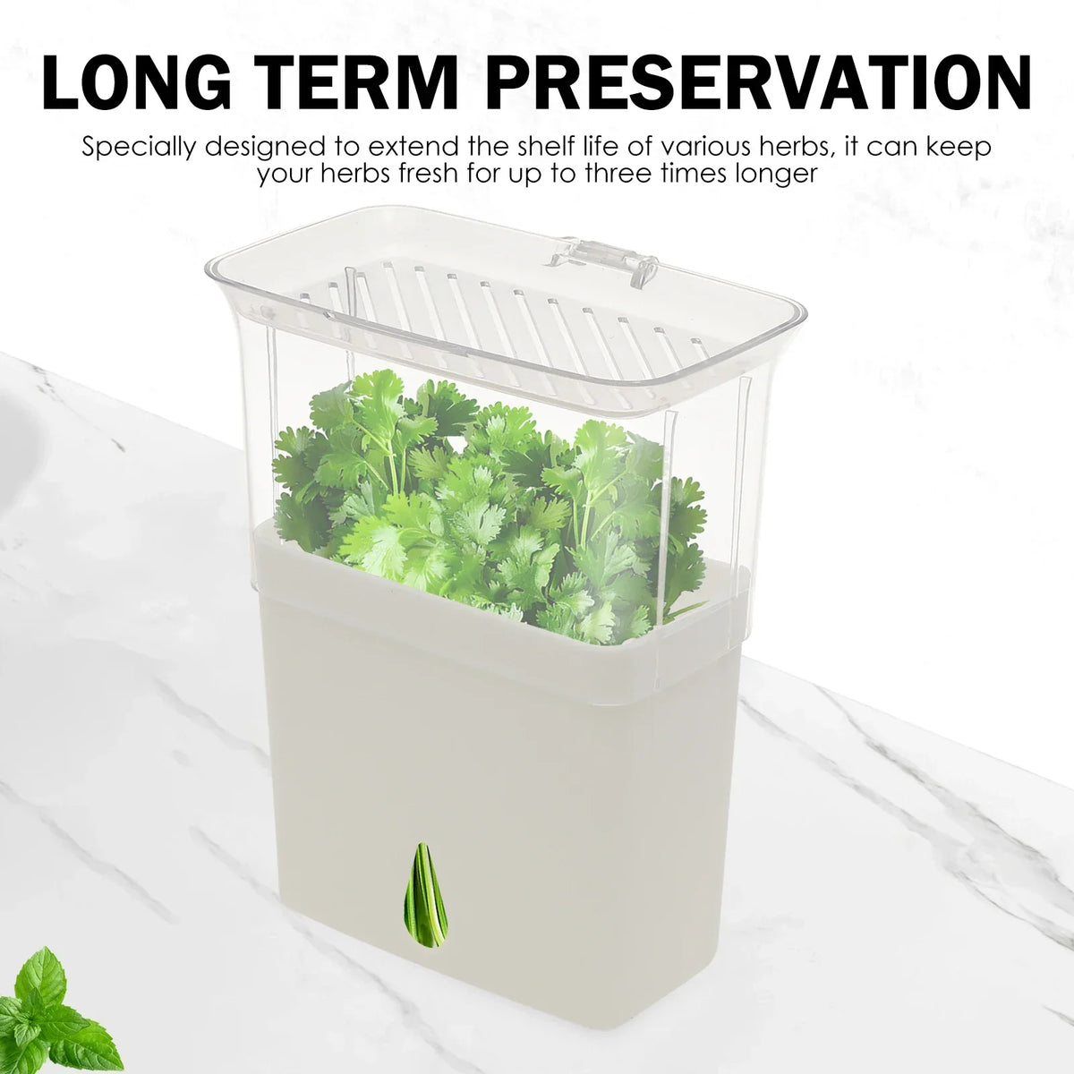 Airtight Herb Keeper Storage Container with 3 Dividers
