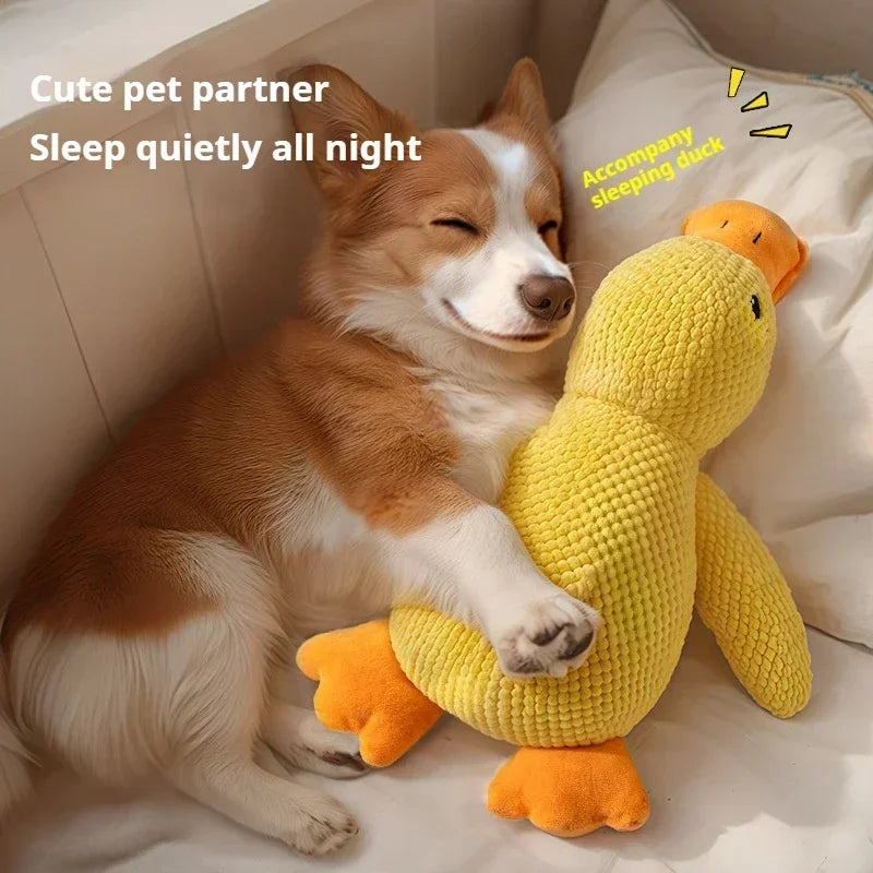 Squeaky Plush Duck Dog Toy – Bite-Resistant Chew Toy