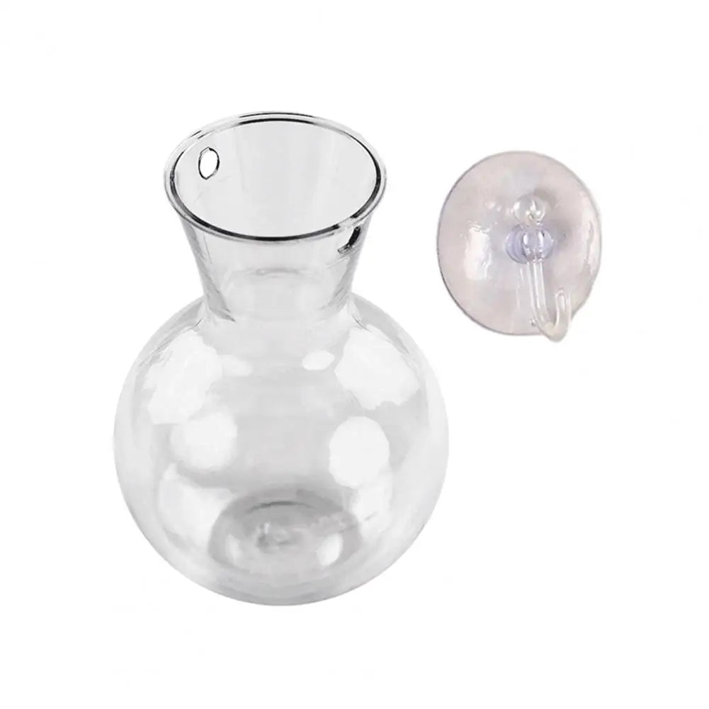 Window Propagation Station Plant Bulb Vase with Suction Cup