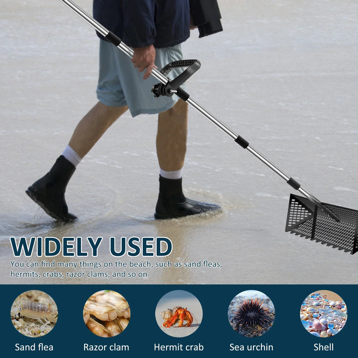 Stainless Steel Sand Flea Rake & Beach Sifter – 52" Handle