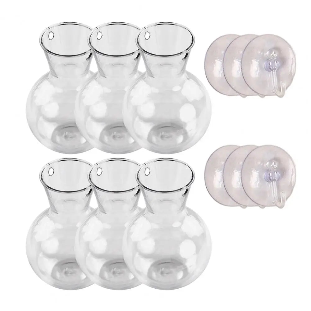 Window Propagation Station Plant Bulb Vase with Suction Cup