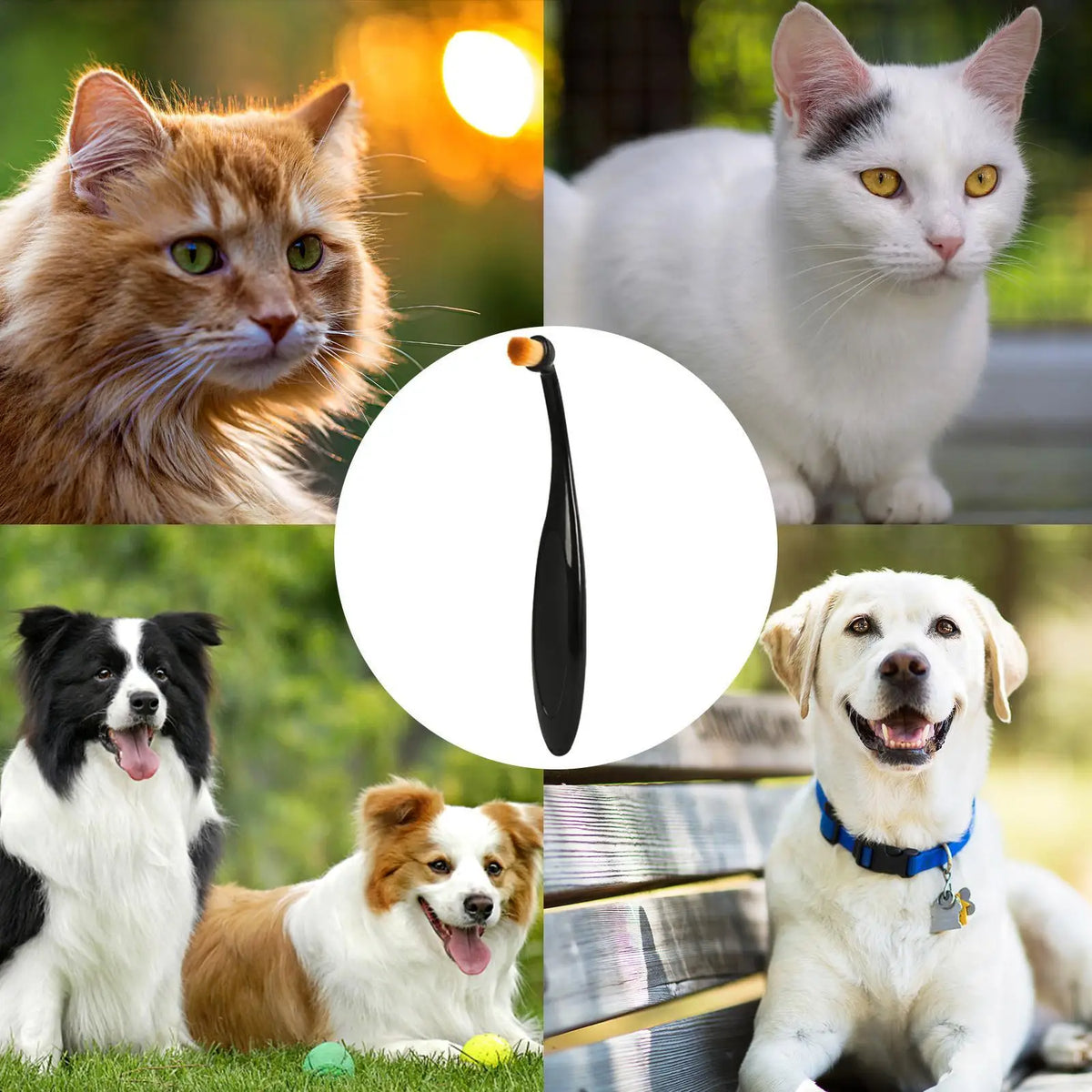 Pet Tear Stain Removal Brush – Eye Cleaning Grooming Tool
