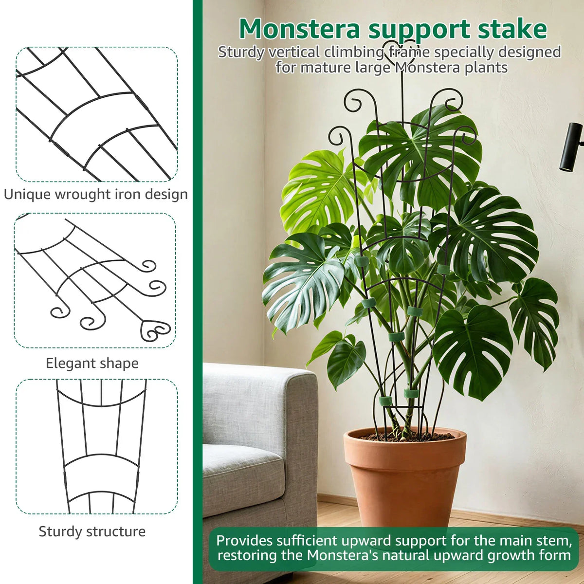 Metal Plant Climbing Trellis 2Pcs – Monstera Vine Support