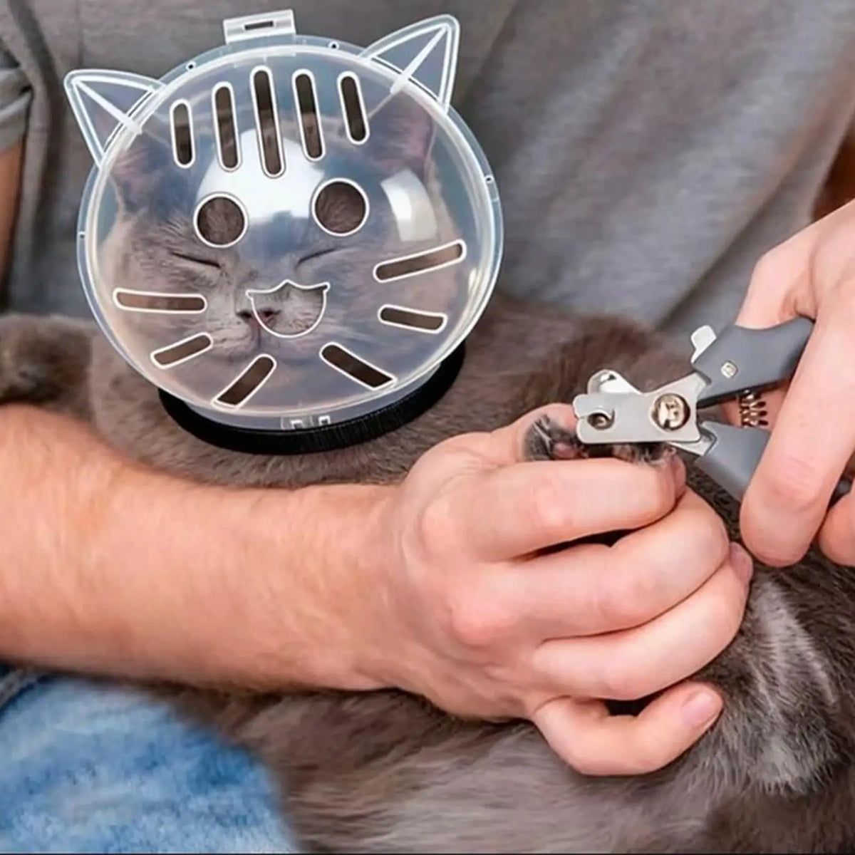 Transparent Cat Muzzle – Breathable Grooming Helmet