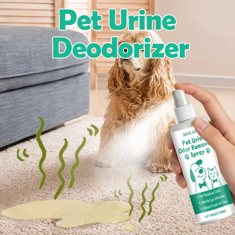 Pet Urine Odor Eliminator Spray – Carpets, Floors & Furniture