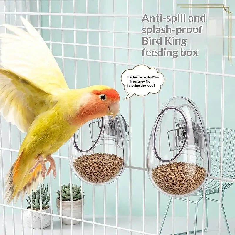 Anti-Splash Transparent Parrot Bird Feeder Cup | Cage Mount