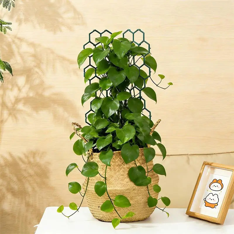 Honeycomb Plant Trellis Plastic Support for Climbing Vines 1-5Pcs