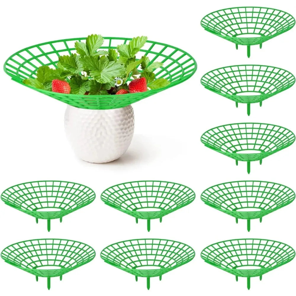Strawberry Plant Supports 3-Leg Growing Racks – 5, 10 or 20 Pcs