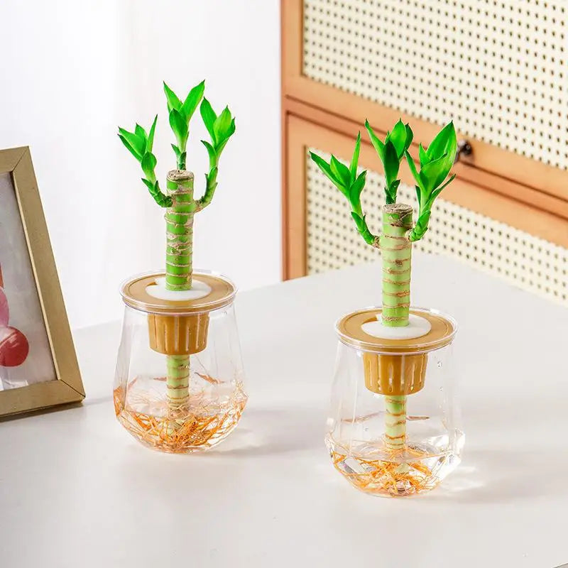 Mini Self-Watering Planter Pot – Transparent Plastic Vase Décor