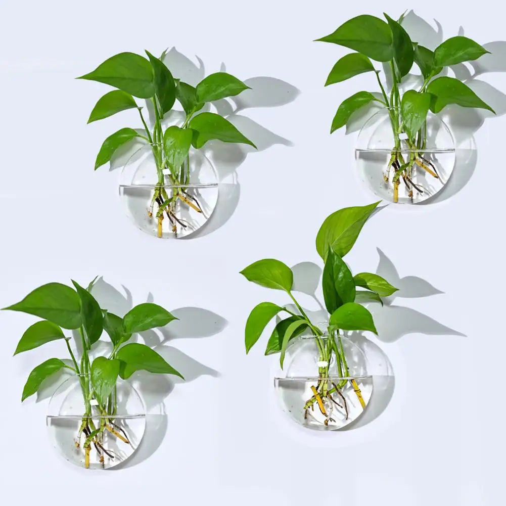 Wall Hanging Glass Planter | Hydroponic Vase Terrarium