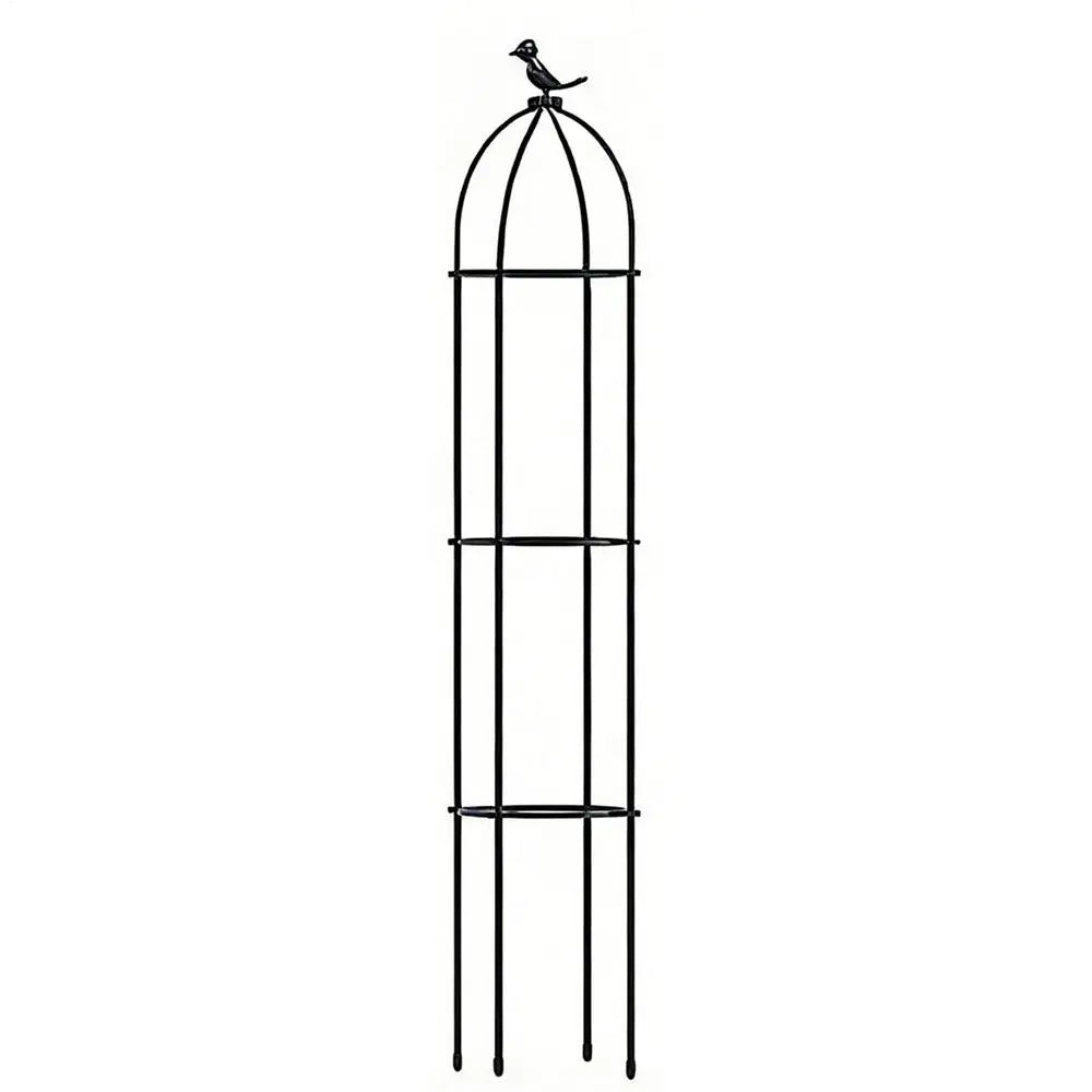 Decorative Plant Trellis | Climbing Support for Rose & Clematis