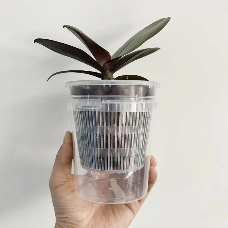 Double Layer Self-Watering Nursery Pot with Drainage Holes