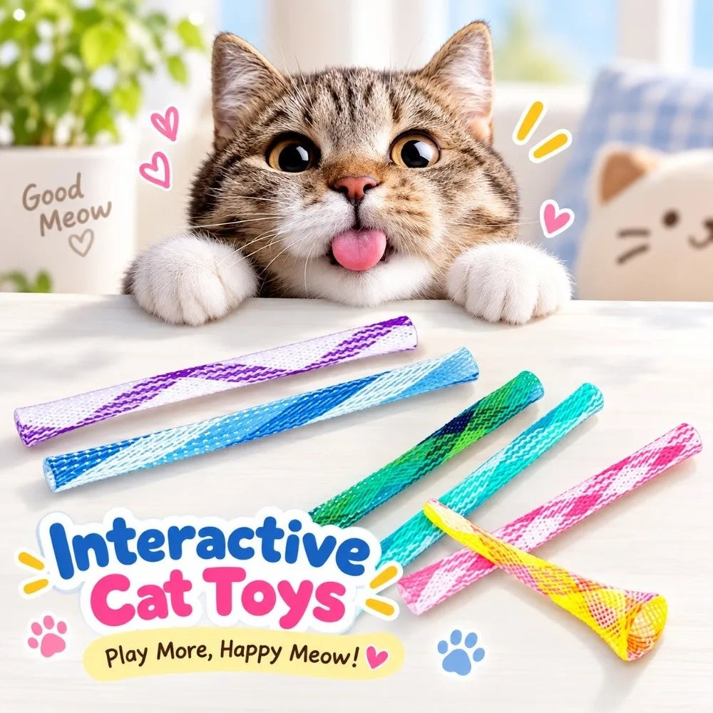 10PCS Multicolor Cat Spring Toys – Foldable Bite-Resistant Indoor