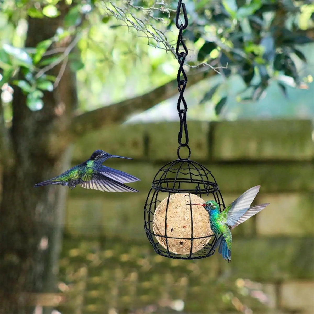 Squirrel-Proof Metal Suet Ball Feeder – Hangable Wild Bird Feeder