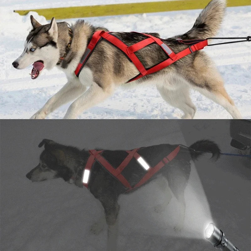 Dog Sled Harness & Weight Training Leash | Husky Scooter