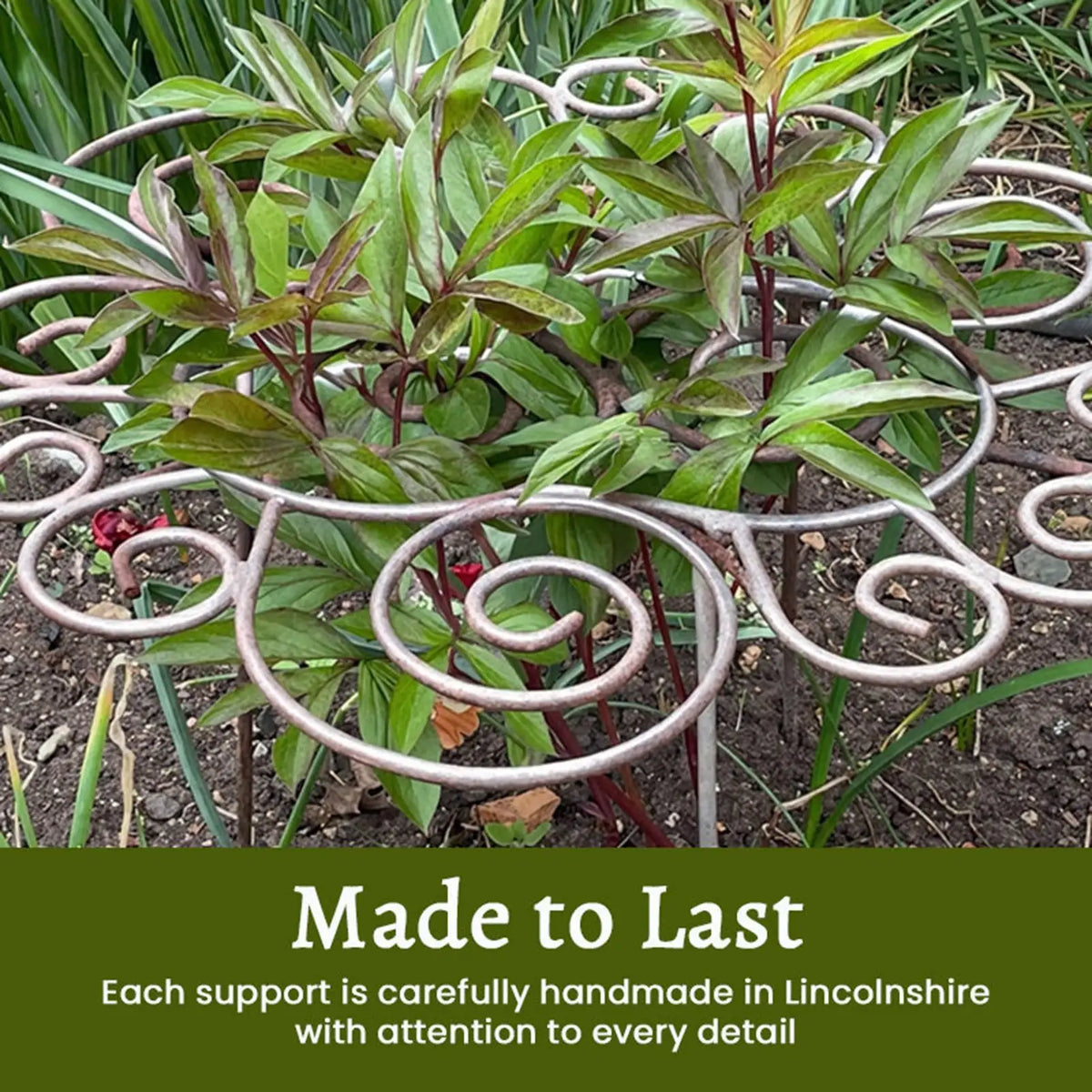 Heavy Duty Metal Peony Cage – Grow-Through Plant Support
