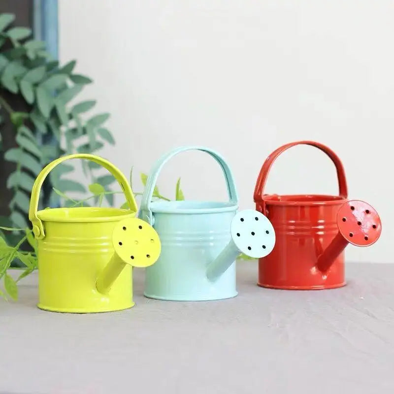 Metal Galvanized Watering Can for Garden – Anti-Rust Iron Pot