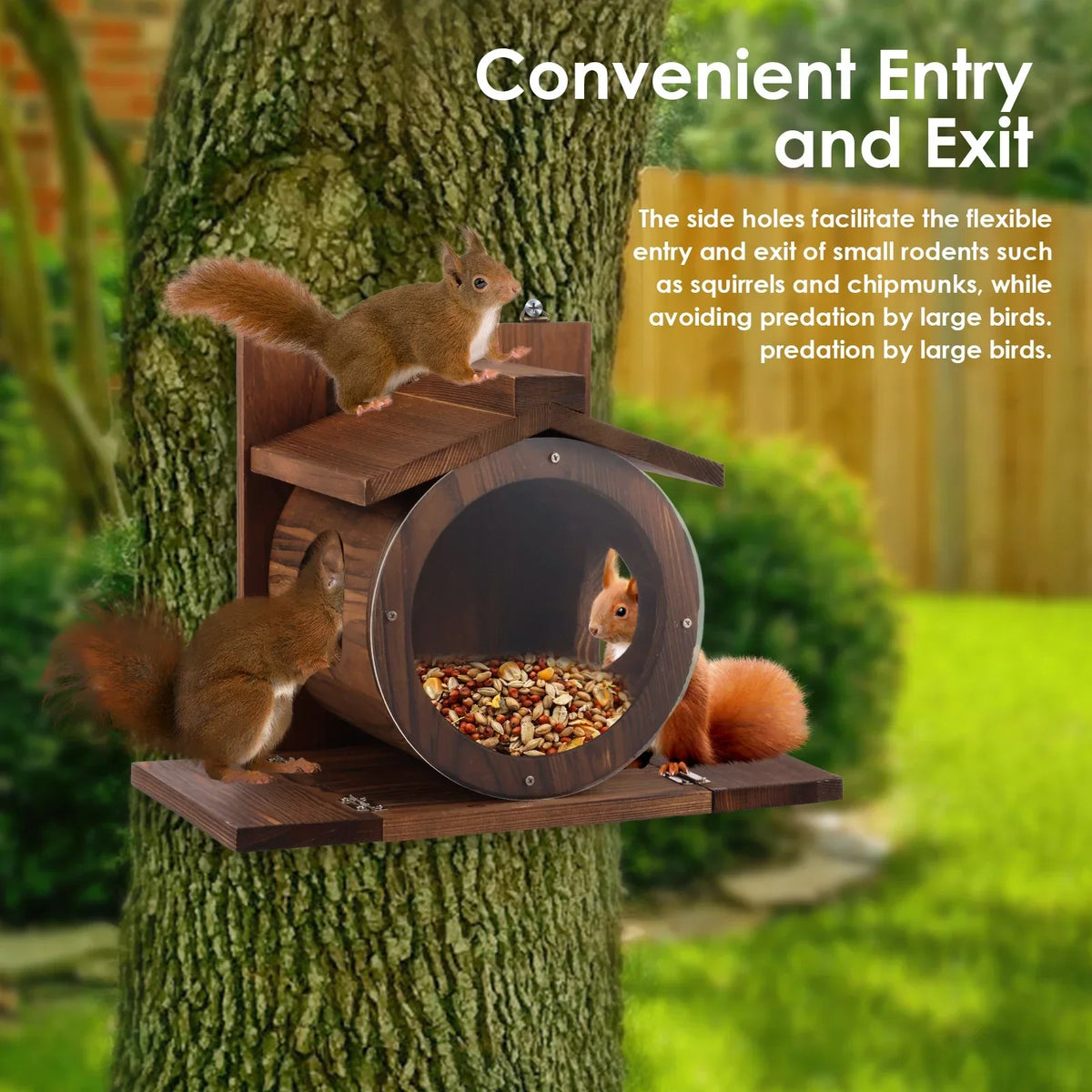 Wood Squirrel Feeder House – Wall Mounted Chipmunk Feeding Box