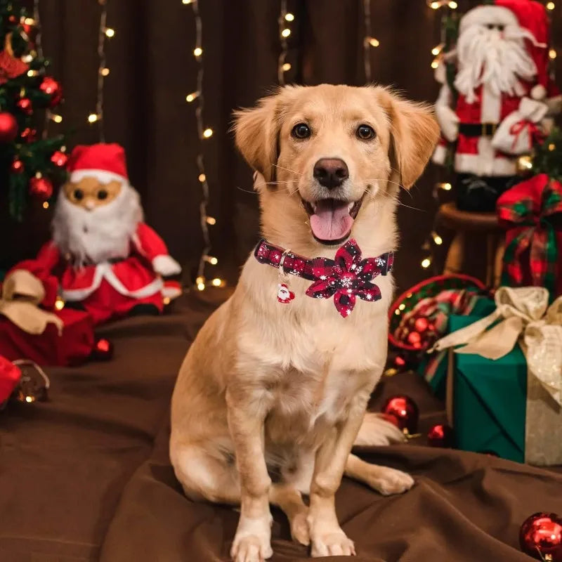Christmas Plaid Dog Collar with Removable Bow Tie | Large Dogs