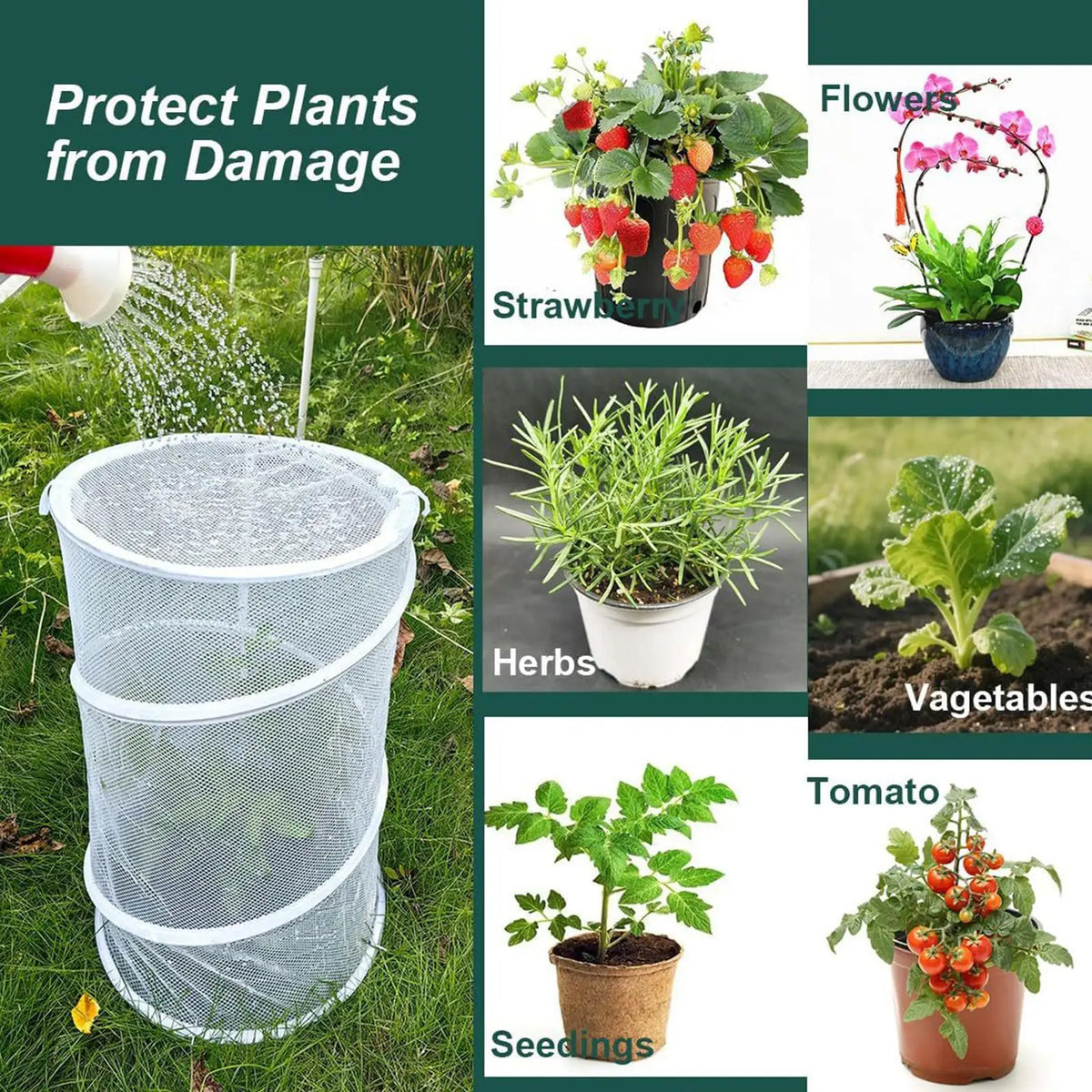 Pop-Up Garden Plant Cloche Cover | Mesh Protector & Stakes