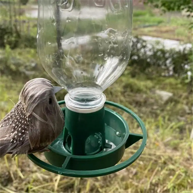 Automatic Hanging Bird Feeder Bowl for Parrots & Pigeons