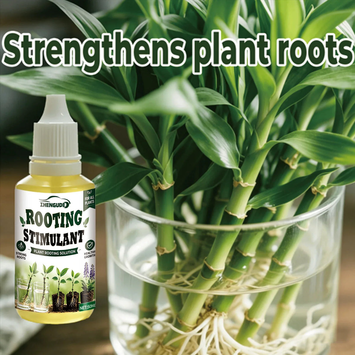 Plant Rooting Promoter & Germination Kit | Boost Root Growth