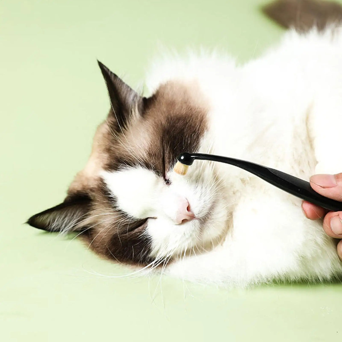 Pet Tear Stain Removal Brush – Eye Cleaning Grooming Tool