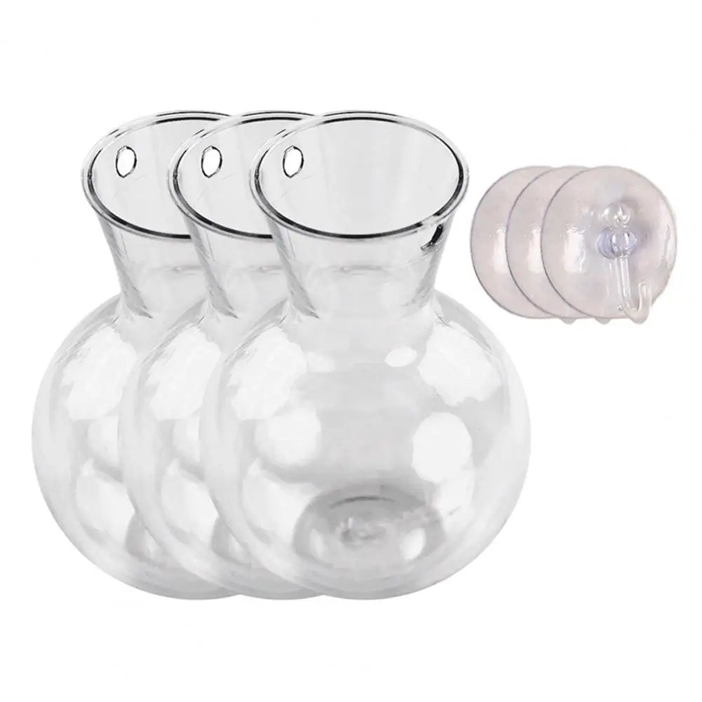 Window Propagation Station Plant Bulb Vase with Suction Cup