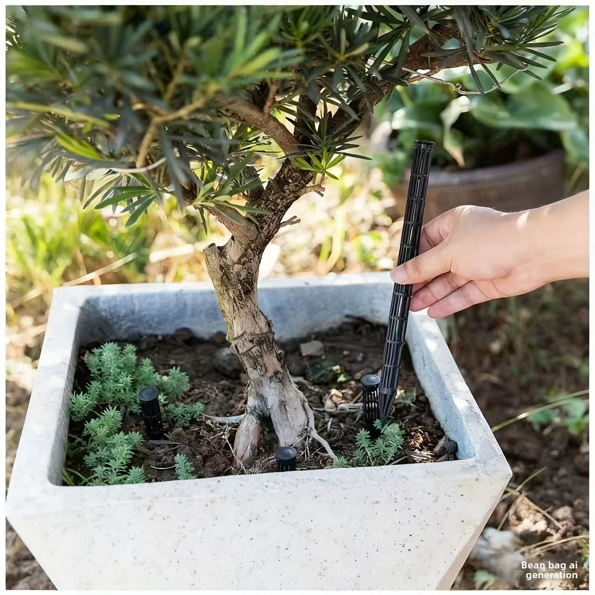 Plant Aeration Tubes for Pots | Healthy Root Gardening Tool