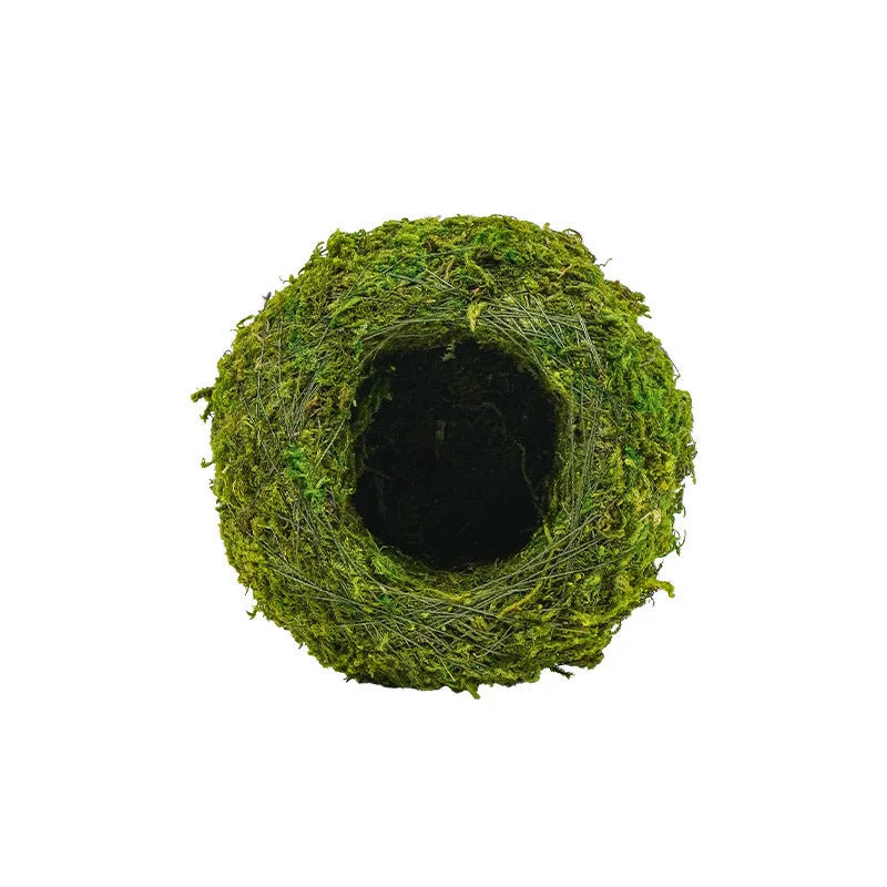 Reptile Moss Hiding Cave – Snake & Lizard Hide Terrarium