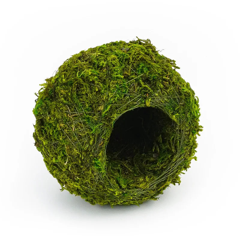 Reptile Moss Hiding Cave – Snake & Lizard Hide Terrarium