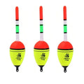 3PCS Luminous Fishing Float Bobber Set – Sea & Carp Fishing