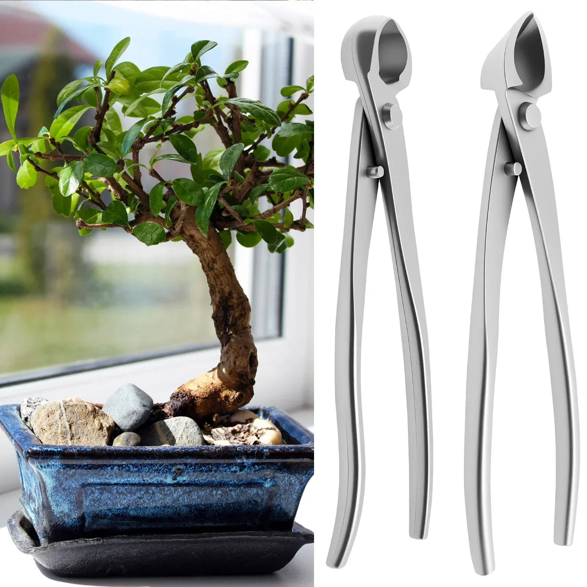 Stainless Steel Bonsai Pruning Kit – Ergonomic Long Handle