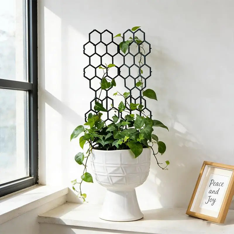 Honeycomb Plant Trellis Plastic Support for Climbing Vines 1-5Pcs