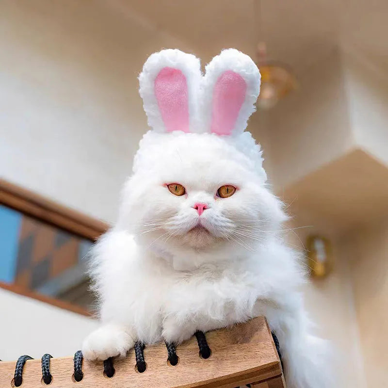 Cute Bear Rabbit Hooded Pet Hat – Soft Fleece Cat & Dog Cosplay
