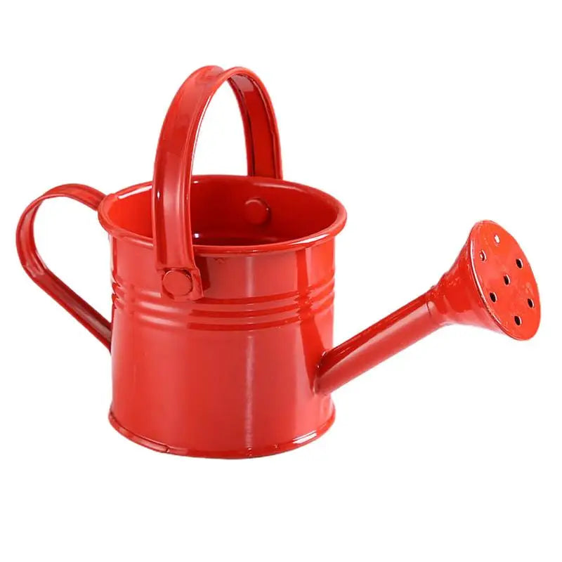 Metal Galvanized Watering Can for Garden – Anti-Rust Iron Pot