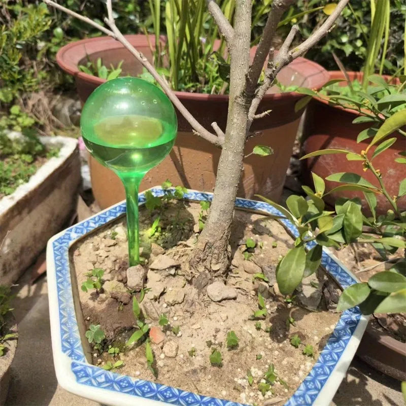 PVC Automatic Plant Watering Globes – 4pcs Drip Kit