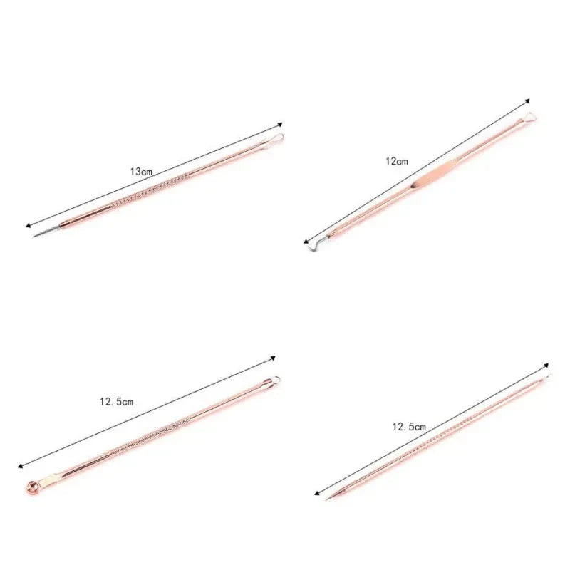 4Pcs Stainless Steel Blackhead Extractor Pore Cleansing Tool Set