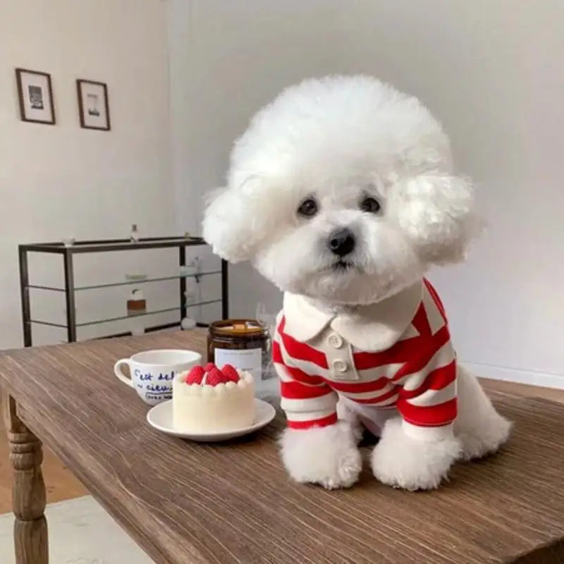 Striped Dog & Cat Shirt – Soft Polyester Pet Pullover S–2XL
