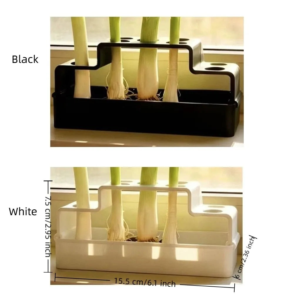 Hydroponic Vegetable Box – Soil-Free Herb Regrowth Planter